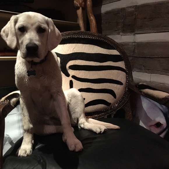 Meet your Posher, Elizabeth - Picture 6 of 13